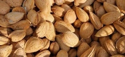 Amêndoa de casca rija Trás os Montes (1Kg)