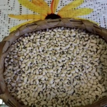 Feijão Frade Trás-Os-Montes (preço por 500g)