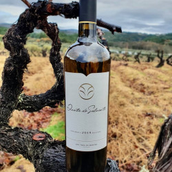 Garrafa Vinho Branco 75cl Quinta do Salvante RESERVA 2020