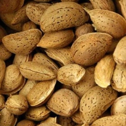 Amêndoa de casca rija (facil de partir) Trás os Montes (1Kg)