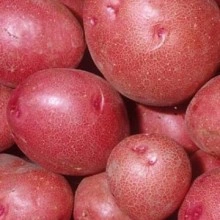 Batata Vermelha de Trás-Os-Montes (preço por 1Kg)