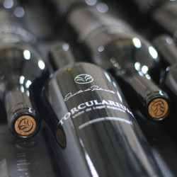 Vinho de Lagar Rupestre Tinto TORCULARIUM 75cl Quinta do Salvante - Img 2