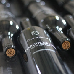 Vinho de Lagar Rupestre Tinto TORCULARIUM 75cl Quinta do Salvante - Img 2