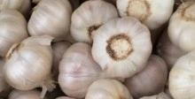Alho de Trás-Os-Montes (preço por 500g)
