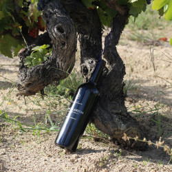 Vinho de Lagar Rupestre Tinto TORCULARIUM 75cl Quinta do Salvante - Img 3