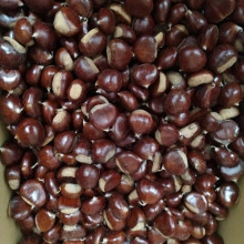 Castanha de Trás-Os-Montes (preço por 500g) - Img 3