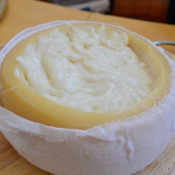 Queijo de Ovelha Curado amanteigado Grande (>= 900 gr) - Img 2