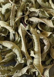 Chá de Lúcia-Lima (Limonete) (6 g) de Trás os Montes - Img 3