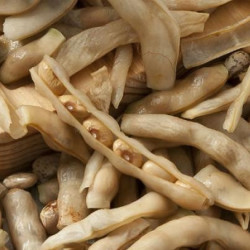 Casulas - Cascas - Palhada (preço por 500g) - Img 2
