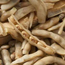 Casulas - Cascas - Palhada (preço por 250g) - Img 2