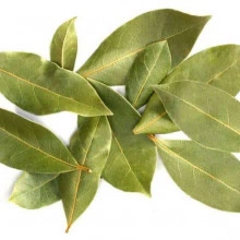 Folhas de Louro (7 g)