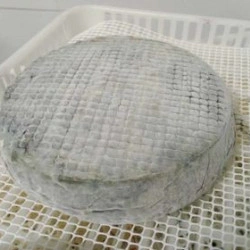 Queijo Vaca Azul tradicional cura de 6 semanas - Img 3