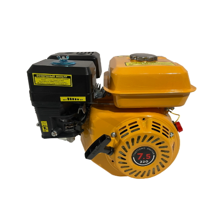 Motoare electrice si benzina
