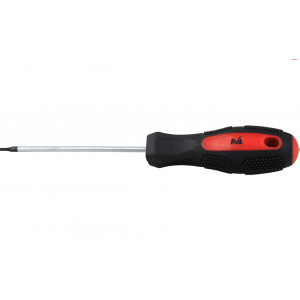 Surubelnita Torx T20, 100 mm Evotools 605144 - Img 2