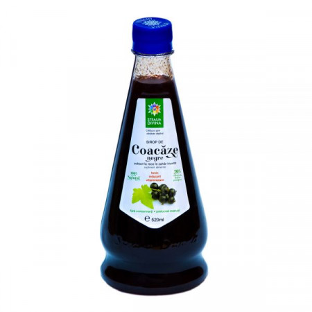 Black Currant Syrup 520ML