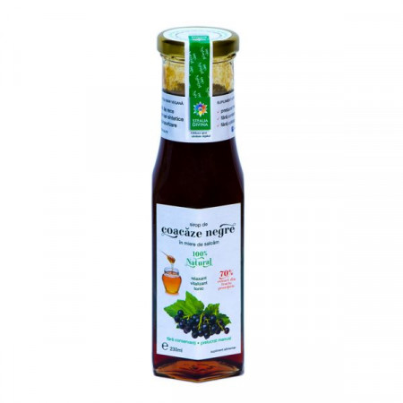 Black Currant Syrup with Honey 230ML