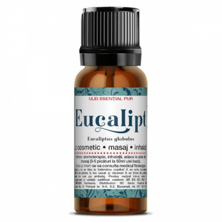 Eucalyptus Essential Oil 10ML