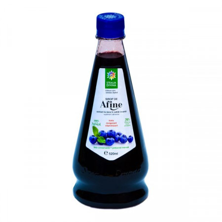 Blueberry Syrup 520ML
