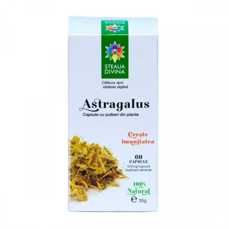 Astragalus 60CPS