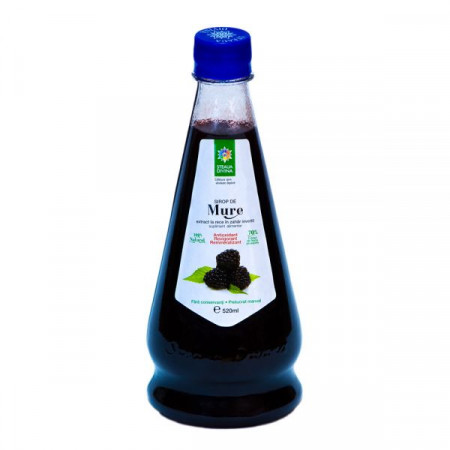 Blackberry Syrup 520ML