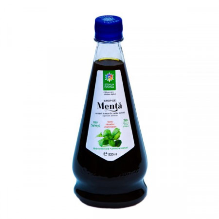 Mint Syrup 520ML
