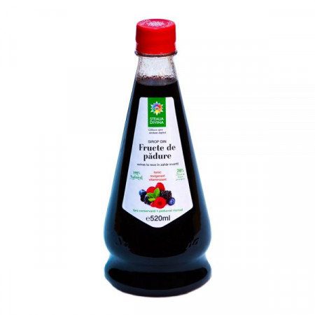 Forest Fruits Syrup 520ML