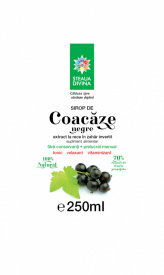 Black Currant Syrup 250ML - Img 2
