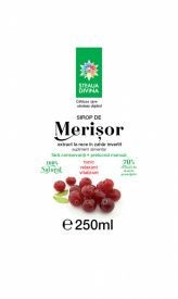 Cranberry Syrup 250ML - Img 2