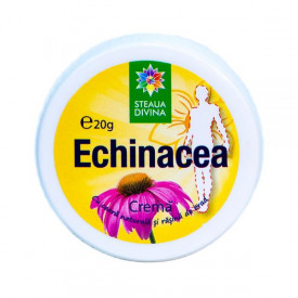 CREMA DE ECHINACEA 20G - Img 1