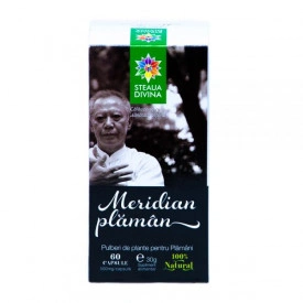 MERIDIAN PLAMAN 60CPS