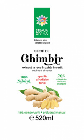 SIROP DE GHIMBIR 520ML - Img 2