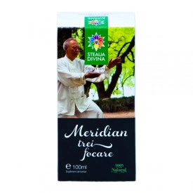 Triple Burner Meridian 100ML