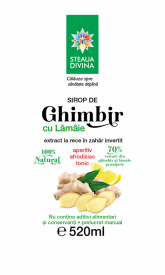 Ginger And Lemon Syrup 520ML - Img 2