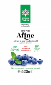 SIROP DE AFINE 520ML - Img 2