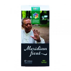 Liver Meridian 100ML