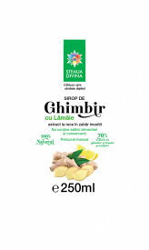 Ginger And Lemon Syrup 250ML - Img 2