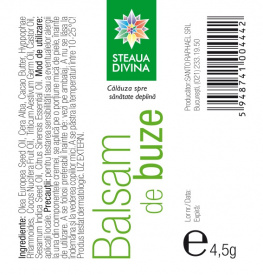 Lip Balm with Sea Buckthorn 4,5G - Img 2