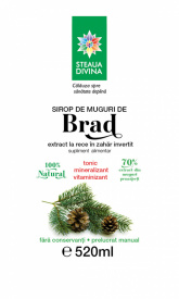 SIROP DE BRAD 520ML - Img 2