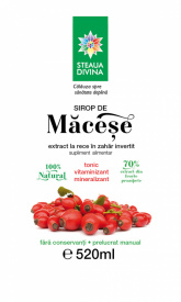 SIROP DE MACESE 520ML - Img 2