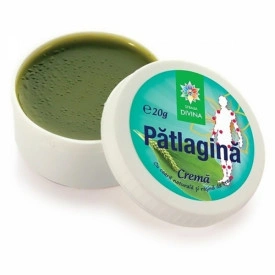 Broadleaf Plantain Cream 20G