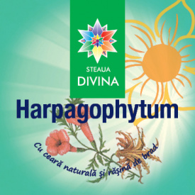 CREMA HARPAGOPHYTUM 40G - Img 2