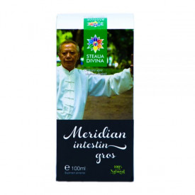 Large Intestine Meridian 100ML - Img 1