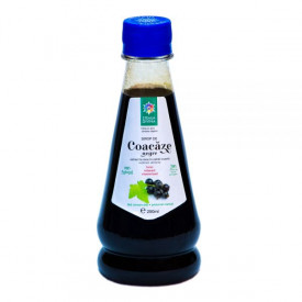 Black Currant Syrup 250ML - Img 1
