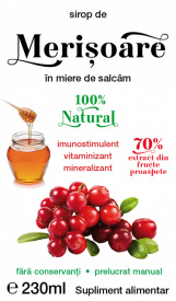Cranberry Syrup With Honey 230ML - Img 2