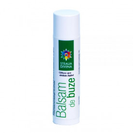 Lip Balm with Sea Buckthorn 4,5G - Img 1