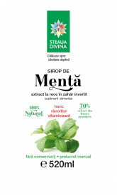 Mint Syrup 520ML - Img 2