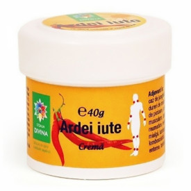 CREMA DE ARDEI IUTE 40G - Img 1
