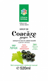 Black Currant Syrup 520ML - Img 2