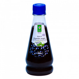 Black Currant with Stevia Syrup 250ML - Img 1