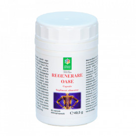 Bone Regeneration 90CPS - Img 1